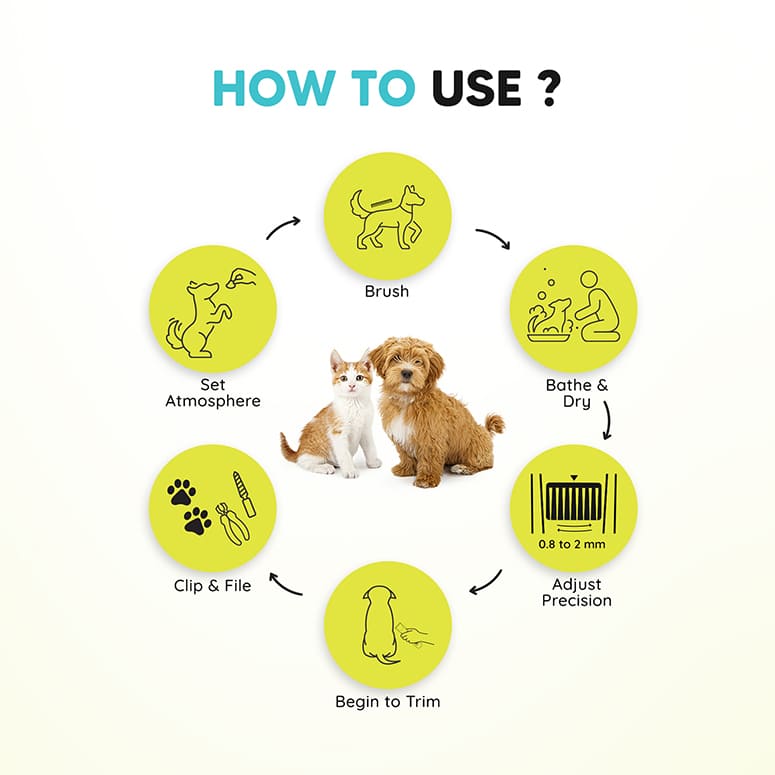 How to use EZ-Wizzy—brush, bathe & dry, adjust precision, begin trim, clip & file, set calm atmosphere