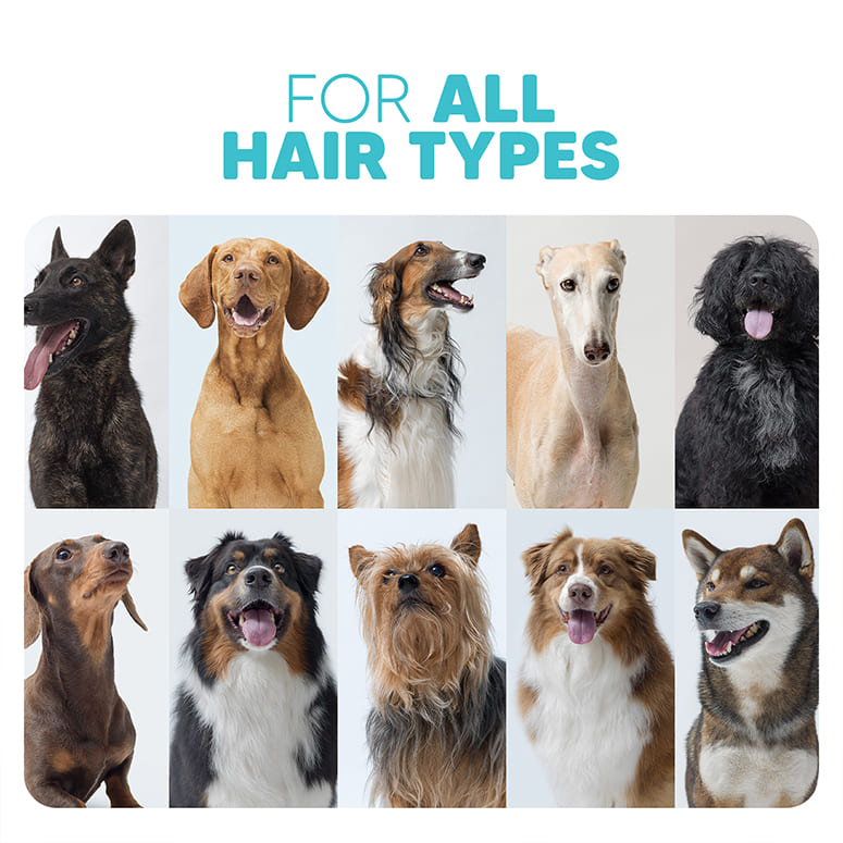 For all dog hair types—EZ-Wizzy pet shampoo suits short, long, curly and double-coat breeds