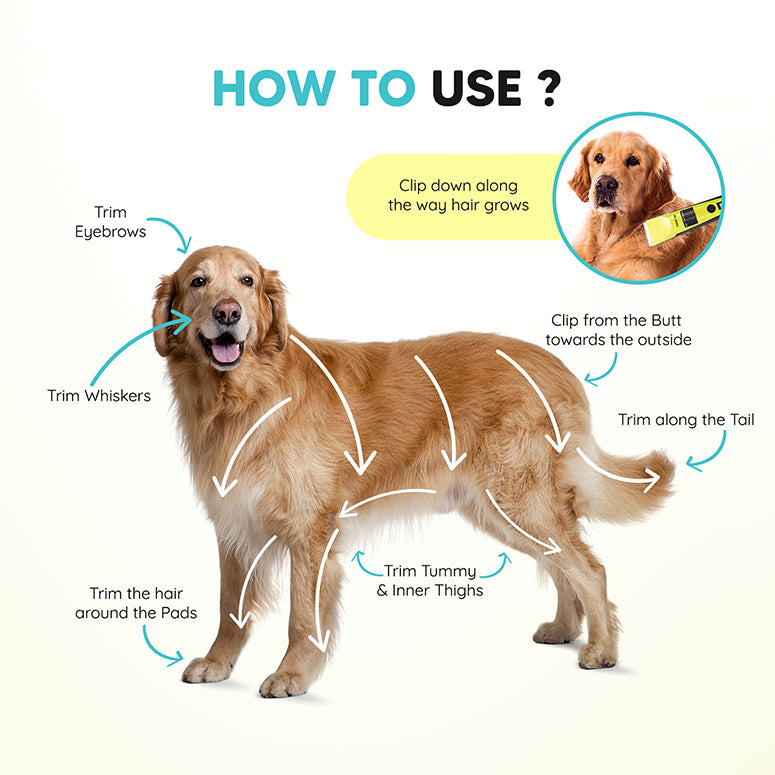 LetsShave Ez-Wizzy Pet Trimmer Blade – Pack of 2