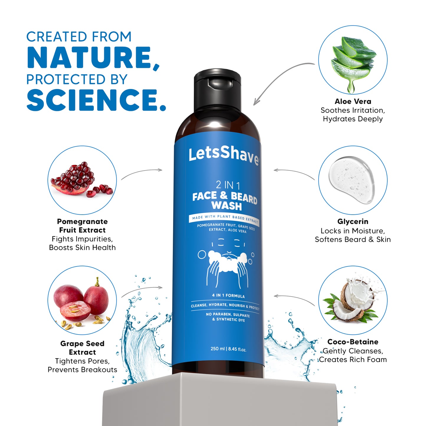 Body Wash & 2-in-1 Face and Beard Wash Combo | Aloe Vera, Ginseng & Pomegranate