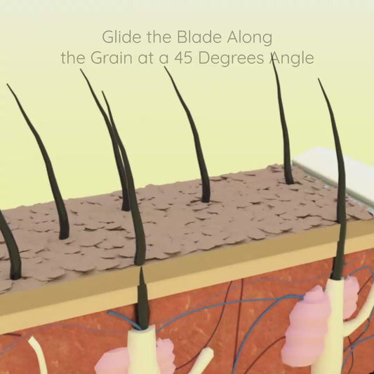 Smooth, Flawless Skin Made Easy | Evior Face Razors Pack of 3 for Gentle & Precise Hair Removal